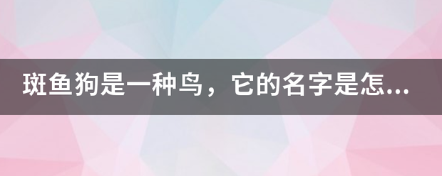 斑鱼狗是一种鸟，它的名字是怎样得来的呢？