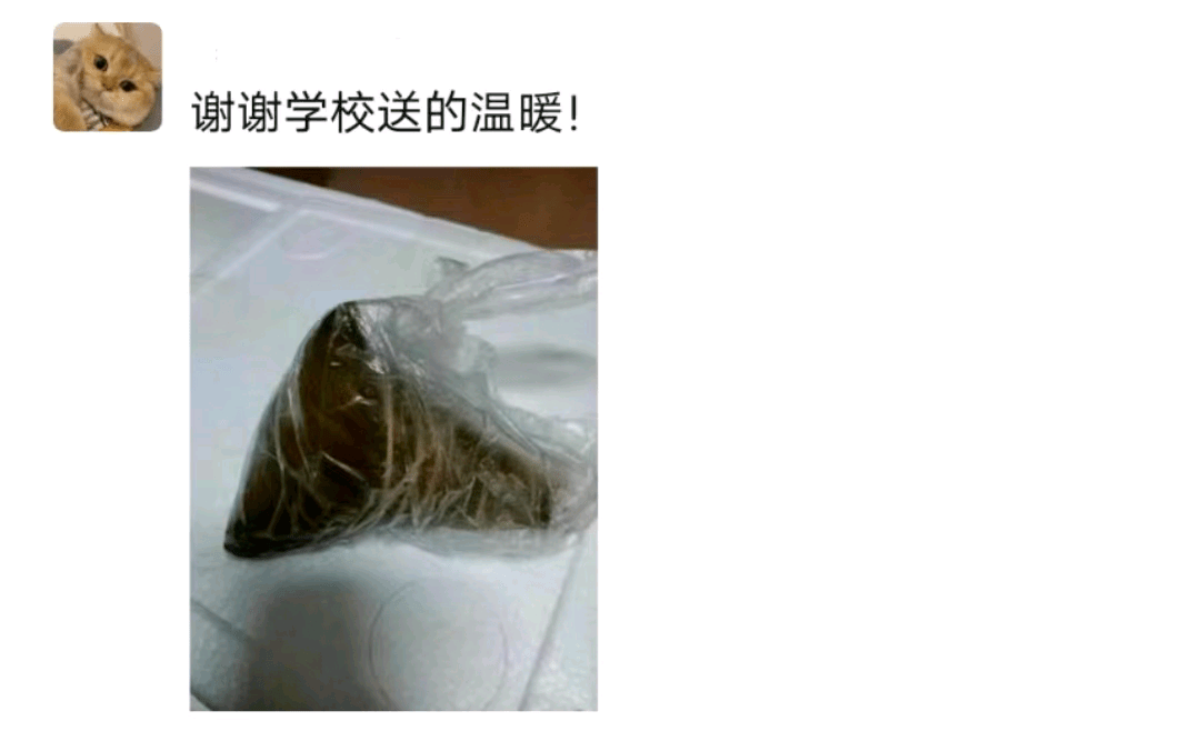 端午｜独乐乐不如粽乐乐