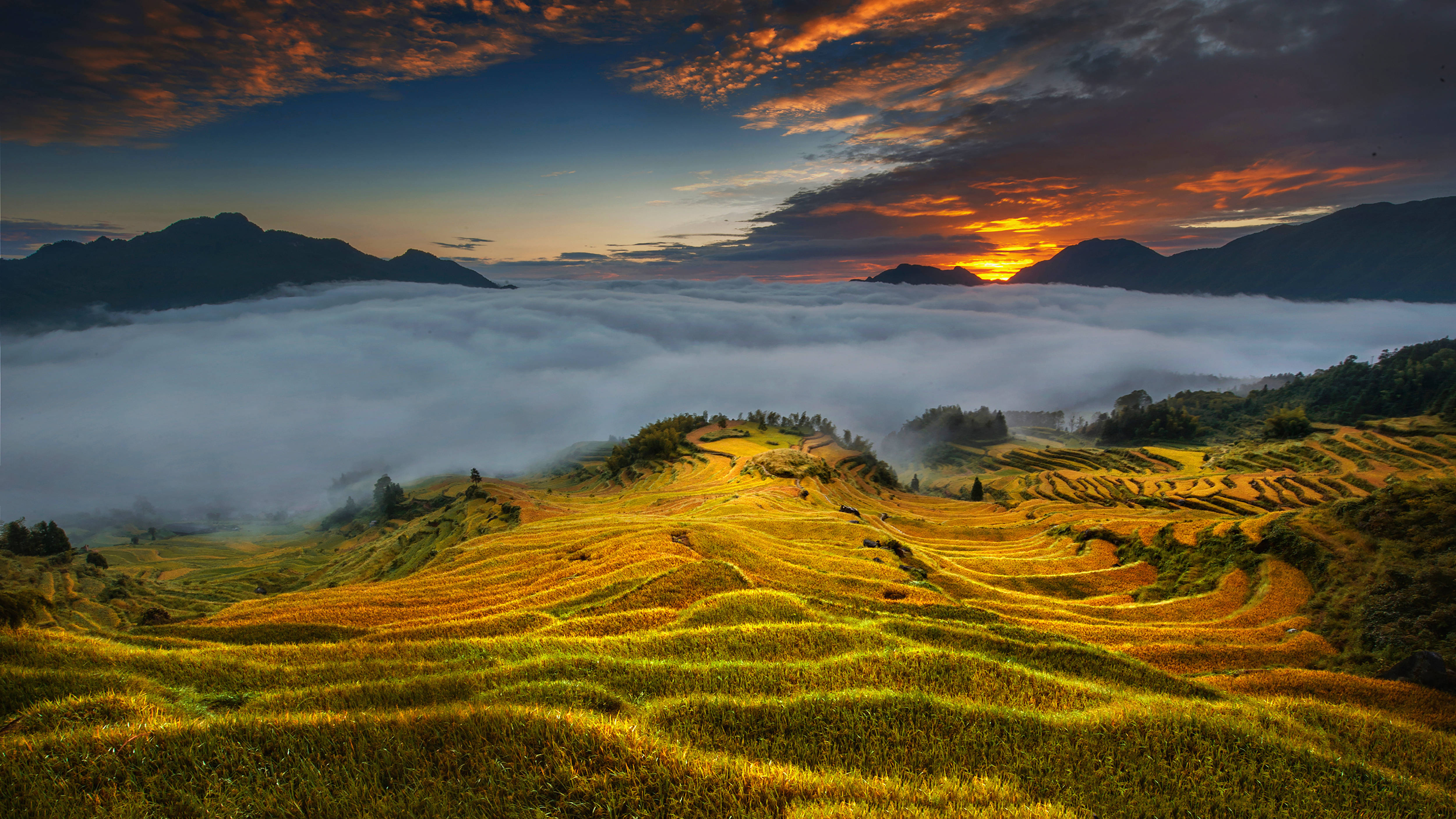 童话之城 浙江云和梯田开犁 Terraced Fields in Yunhe, Zhejiang