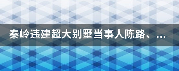 秦岭违建超大别墅当事人陈路、支亮一审被判缓刑，你怎么看？