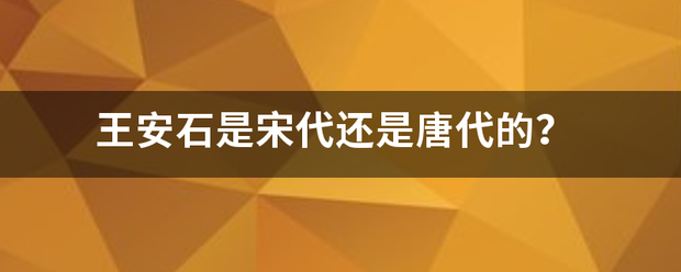 王安石是宋代还是唐代的？