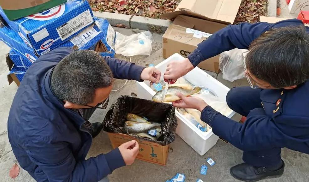 食品监管_监管食品安全的部门_监管食品安全的四个最严是指