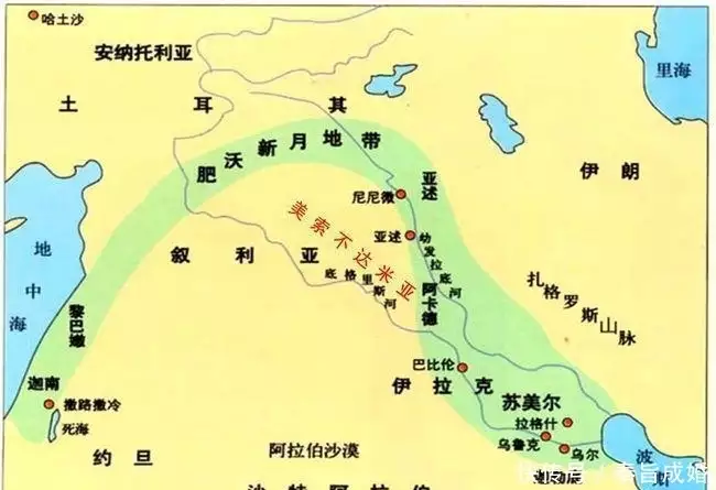 巴勒斯坦_巴勒斯坦和巴基斯坦_巴勒斯坦和以色列是什么关系