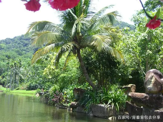 海南岛旅游攻略_海南农家乐旅游攻略_海南豪华游轮旅游攻略